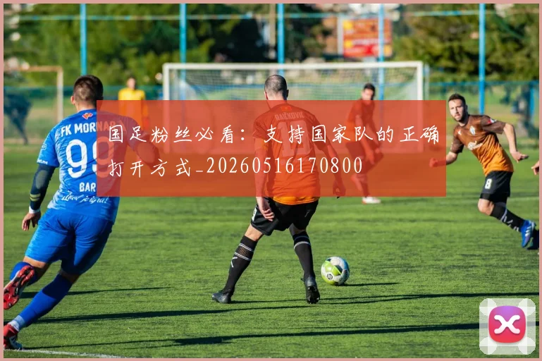 国足粉丝必看：支持国家队的正确打开方式_20260516170800